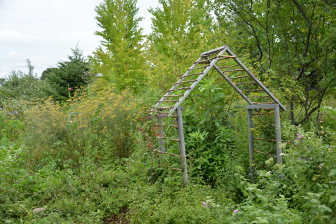 e0335926_09270644.jpg
