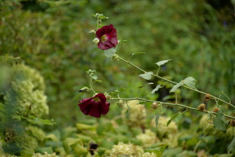 e0335926_09320340.jpg