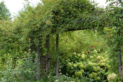 e0335926_09331128.jpg