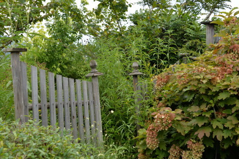 e0335926_09365267.jpg