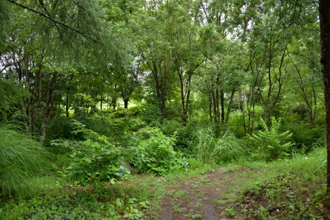 e0335926_09591366.jpg