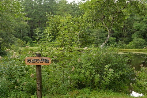 e0335926_10280947.jpg