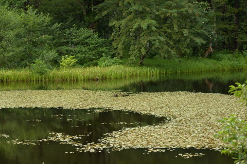 e0335926_10290804.jpg