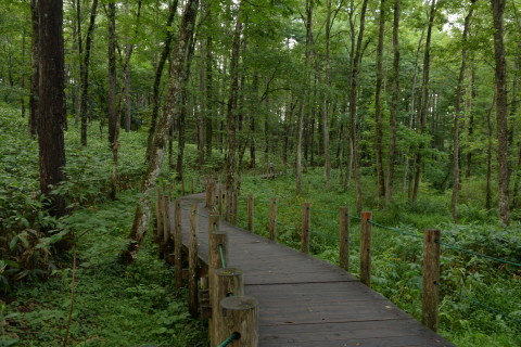 e0335926_10321023.jpg
