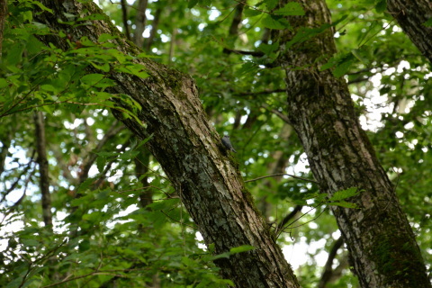 e0335926_10331014.jpg