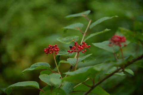 e0335926_10355443.jpg