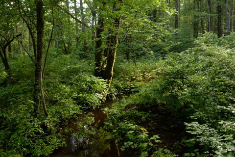 e0335926_10361686.jpg