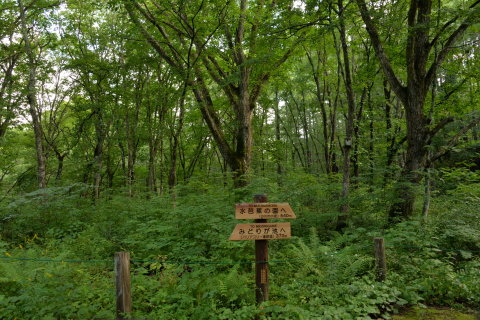e0335926_10371839.jpg