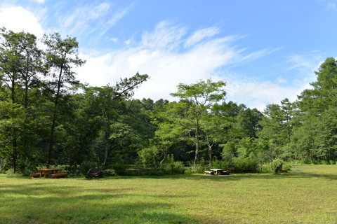 e0335926_10454846.jpg