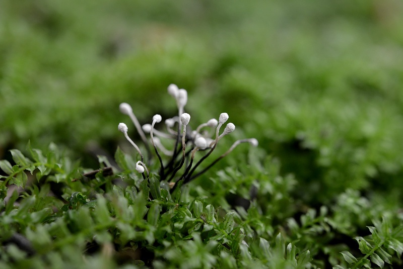 c0286530_2157276.jpg