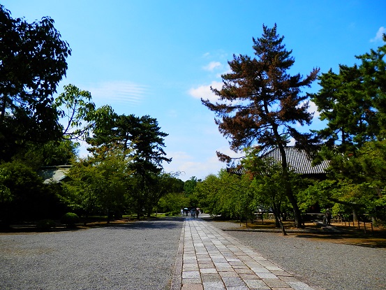 c0081032_106560.jpg