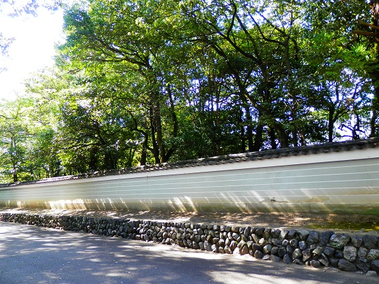 c0081032_1074664.jpg