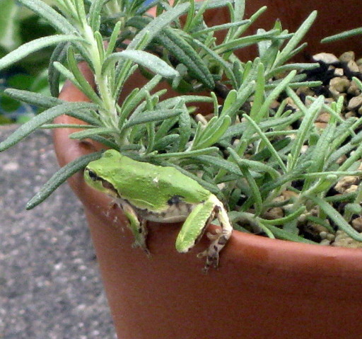 a0329935_08083985.jpg