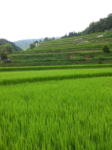 生き物探検ツアー_f0209438_16544629.jpg