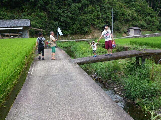 生き物探検ツアー_f0209438_1703479.jpg