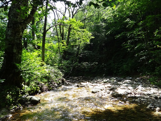 e0119840_20405737.jpg