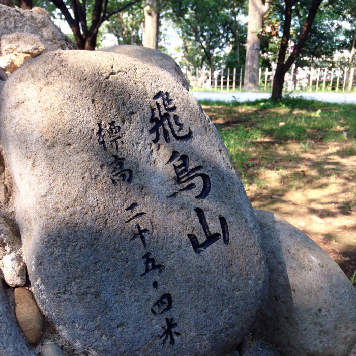 飛鳥山は山じゃない_c0060143_22021983.jpg