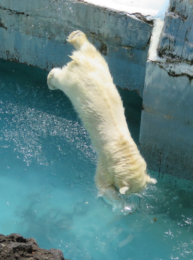 8月6日の外泊親子の続きです_f0002743_1295926.jpg