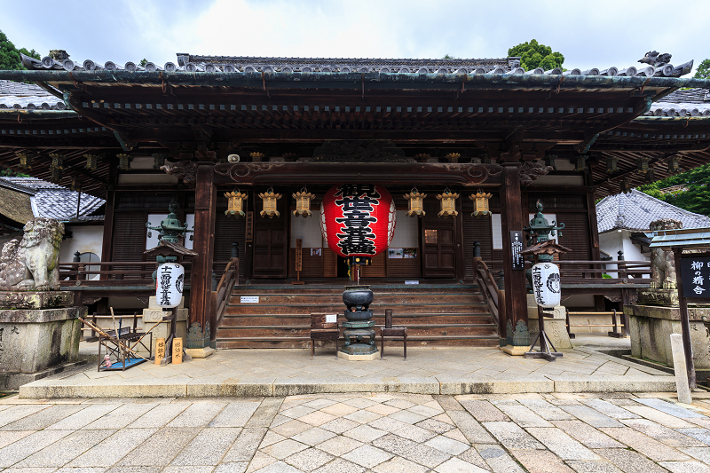 紫陽花の寺（柳谷観音 立願山楊谷寺）_f0155048_15275599.jpg