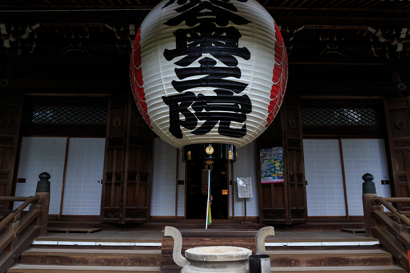 紫陽花の寺（柳谷観音 立願山楊谷寺）_f0155048_15302812.jpg