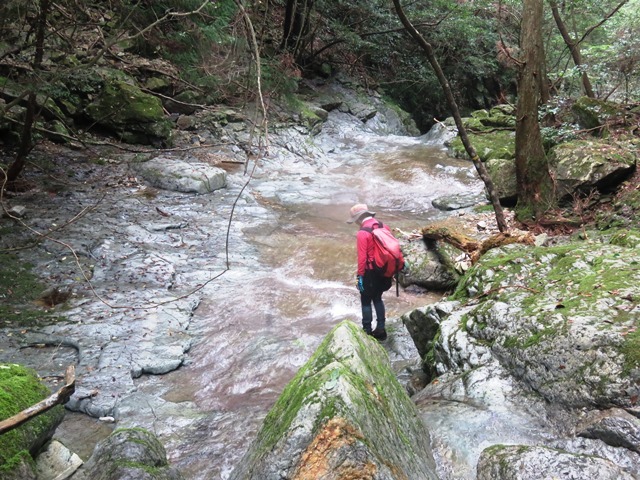 b0227552_19371125.jpg