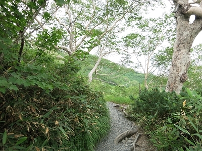 e0170558_23471886.jpg
