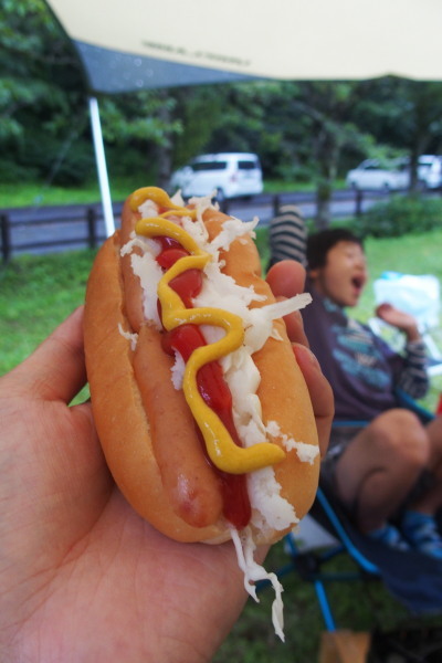 夏の湯西川キャンプ② 清流遊びで恐怖の再会_c0122670_07221058.jpg