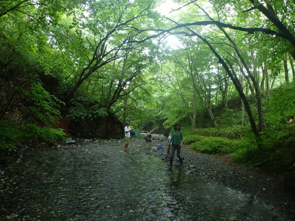 夏の湯西川キャンプ② 清流遊びで恐怖の再会_c0122670_07232031.jpg