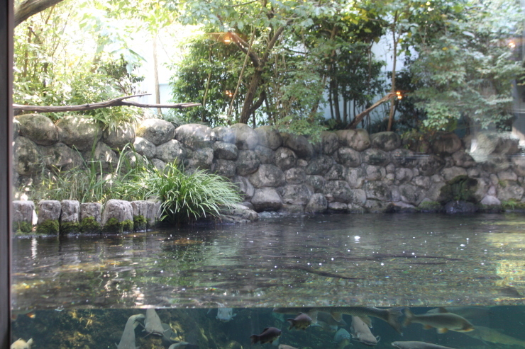e0283472_17242145.jpg