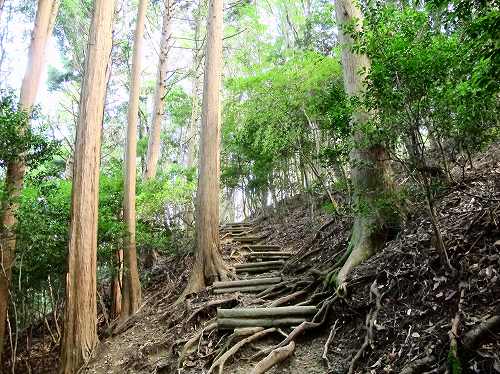 ほぼ気まぐれ「今日のポンポン山」　今日も無線三昧_f0073587_10135570.jpg