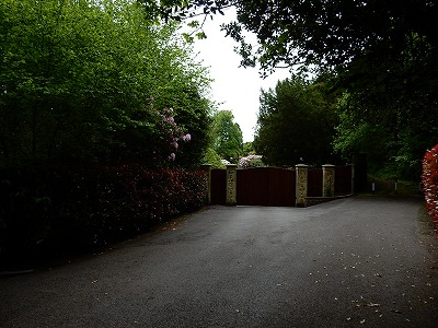 f0148890_205631.jpg