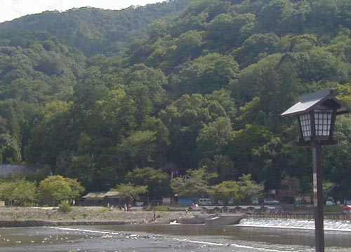 ●神社の造形―大井神社_d0053294_0474145.jpg