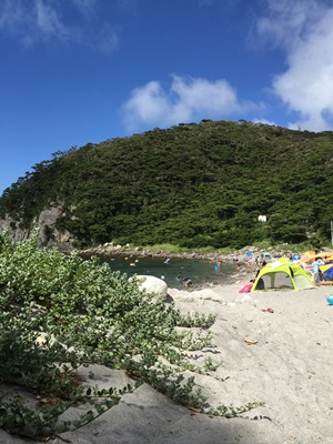 d0153294_2136928.jpg