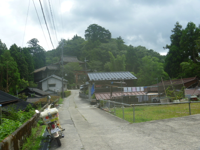 吉野山リトルカブ散歩　『予告篇』_c0115197_1149085.jpg