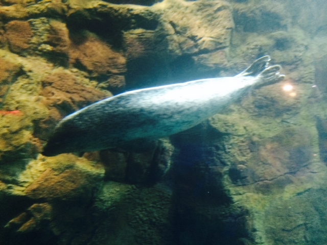 a0050302_03117.jpg