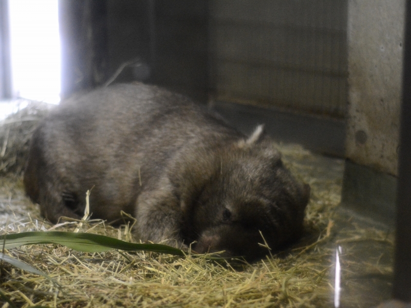 ヒロキと夜の動物園～最後に「こんばんは」、そんな金曜日～_a0164204_01143261.jpg