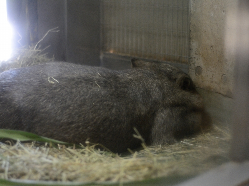 ヒロキと夜の動物園～最後に「こんばんは」、そんな金曜日～_a0164204_01190742.jpg