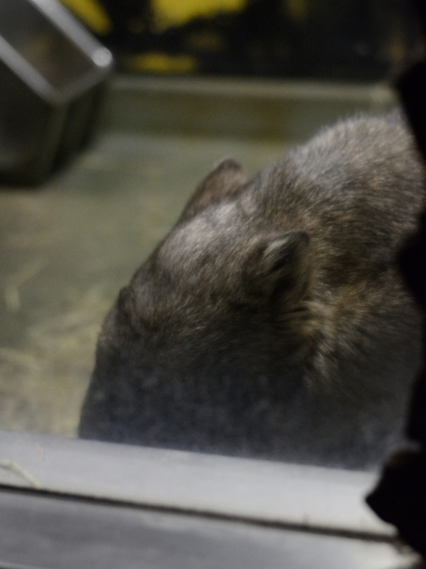 ヒロキと夜の動物園～最後に「こんばんは」、そんな金曜日～_a0164204_02110313.jpg