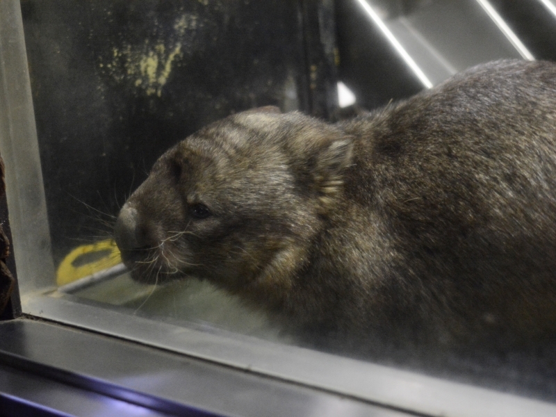 ヒロキと夜の動物園～最後に「こんばんは」、そんな金曜日～_a0164204_02232932.jpg