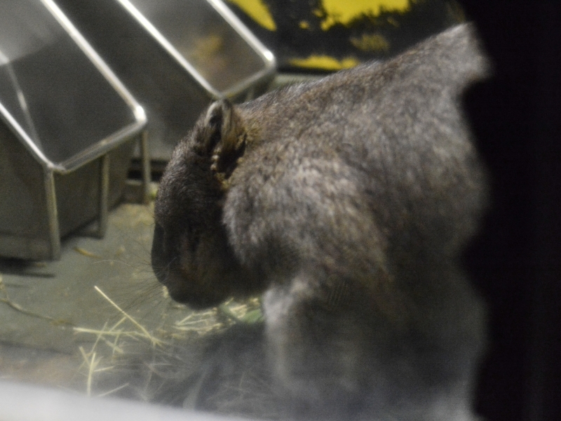 ヒロキと夜の動物園～最後に「こんばんは」、そんな金曜日～_a0164204_02240480.jpg