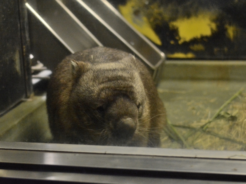 ヒロキと夜の動物園～最後に「こんばんは」、そんな金曜日～_a0164204_02294786.jpg