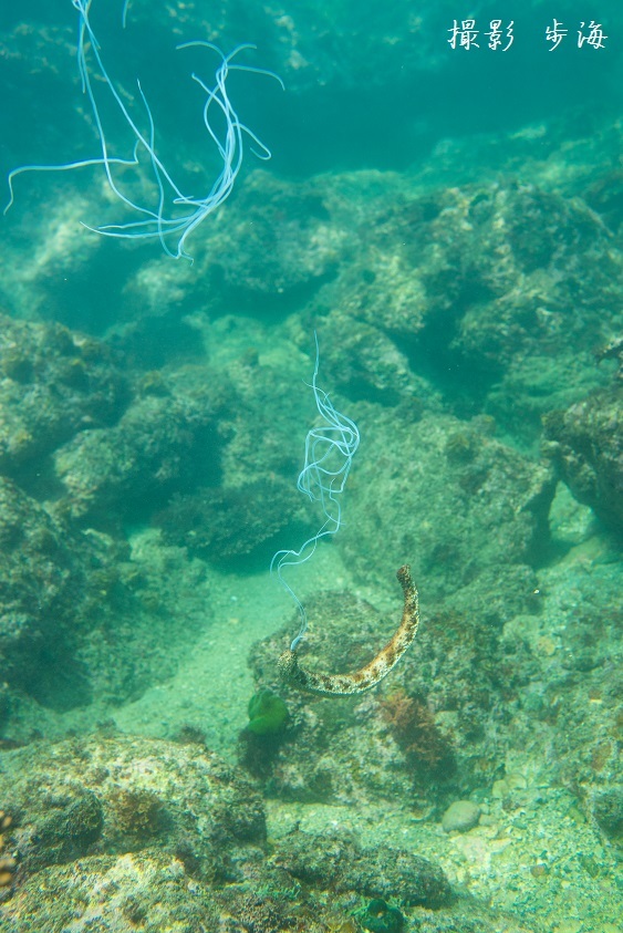 b0348205_23040836.jpg
