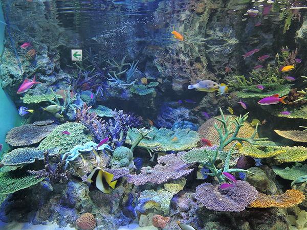 d0168406_991531.jpg