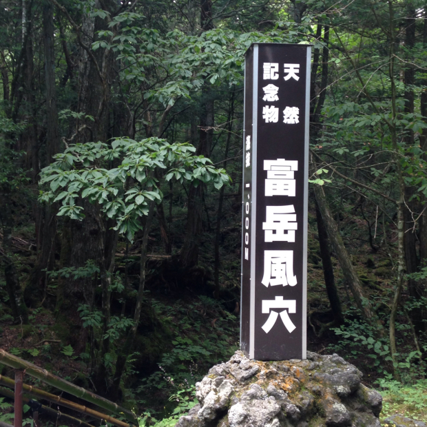 a0206808_20040840.jpg