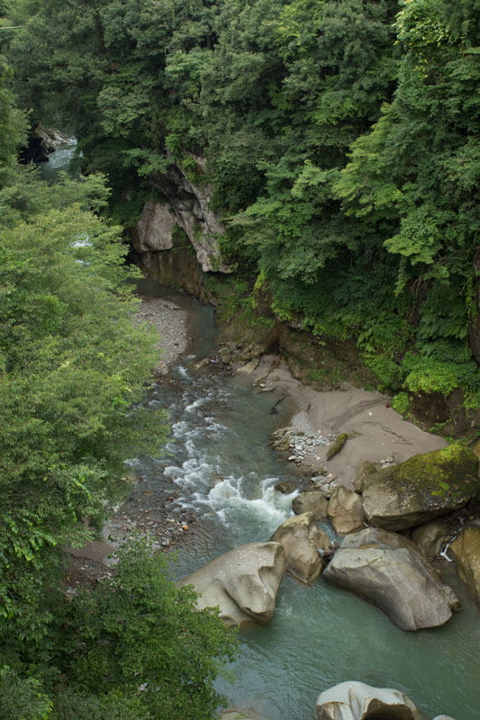 a0278914_711569.jpg