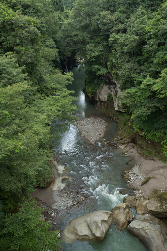 a0278914_795985.jpg