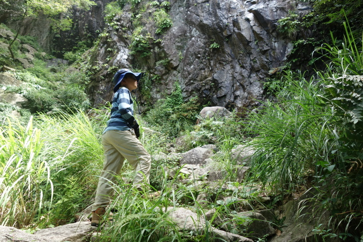 三郡山・仏頂山(福岡・宇美町)_b0291016_10210052.jpg