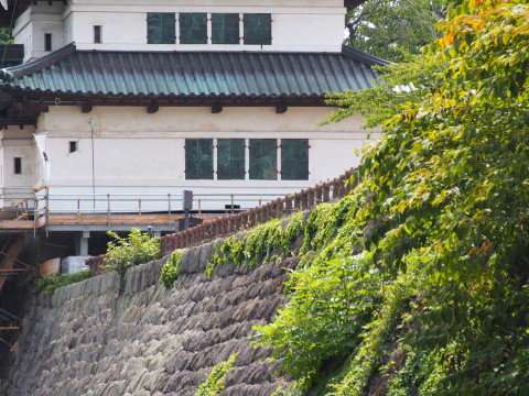 b0147224_1637035.jpg