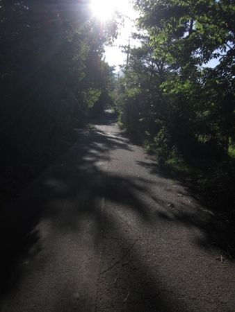 c0114929_11104362.jpg