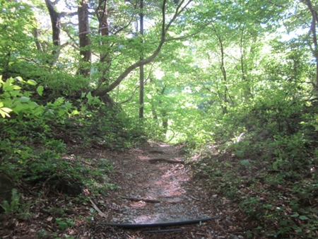 c0114929_11202643.jpg